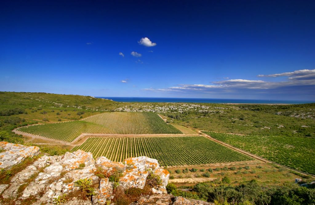 vignoble-la-clape-aude