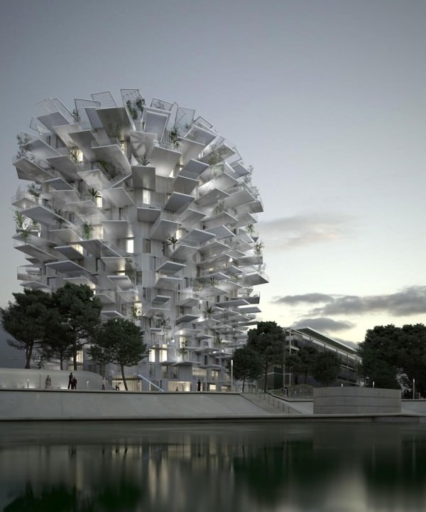 arbre-blanc-architecture-montpellier