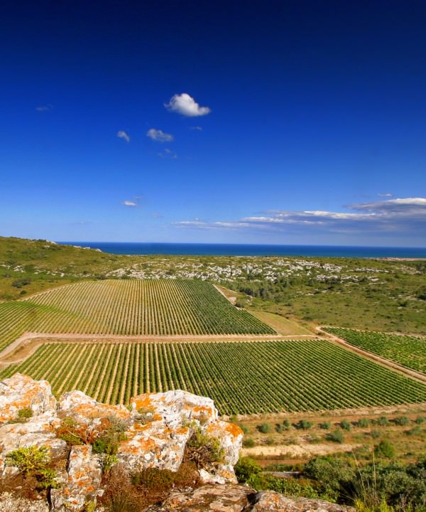 vignoble-la-clape-aude