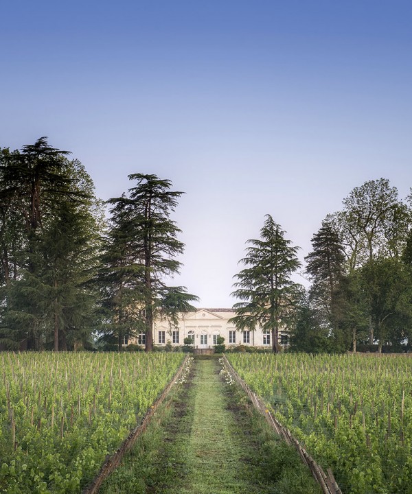 Chambre d'hôtes au Château le pape