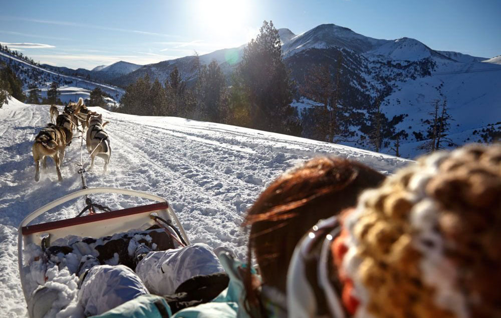 valllnord-chien-traineaux