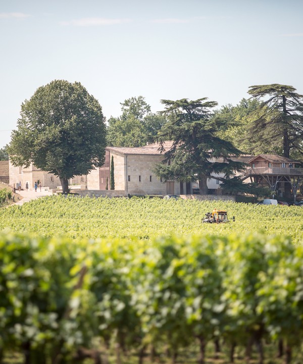 chateau-franc-mayne-saint-emilion-grand-cru-classe