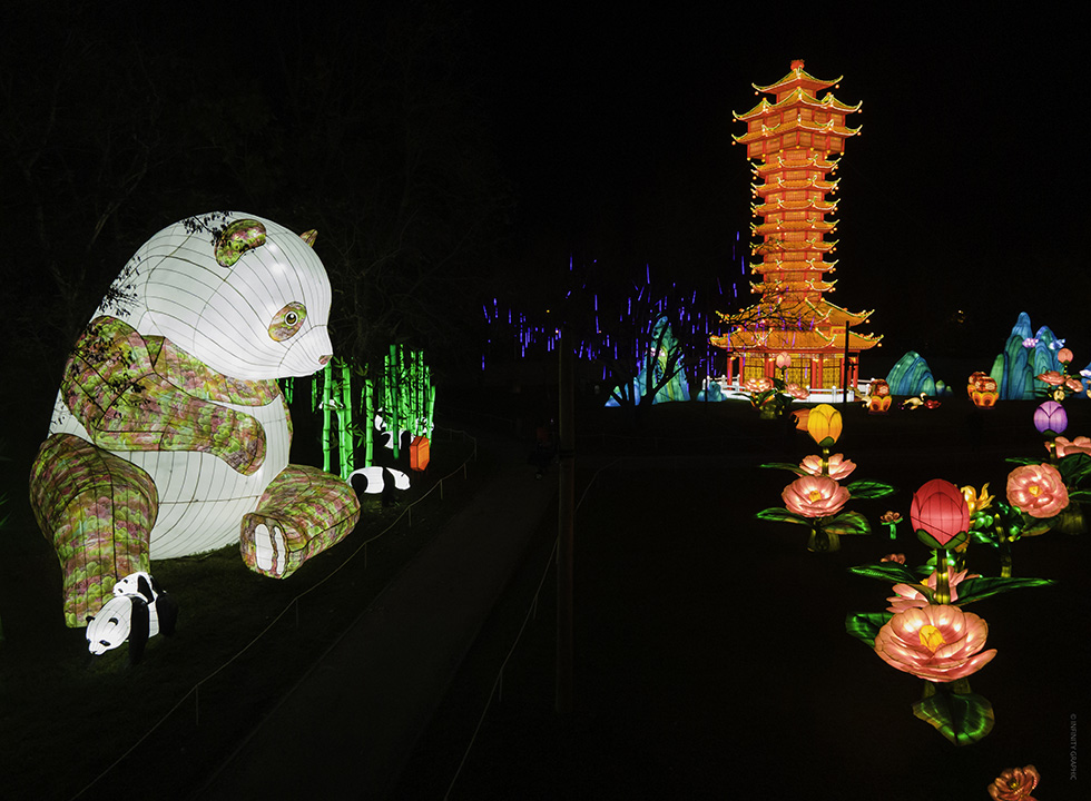 Festival-des-lanternes-blagnac-panda