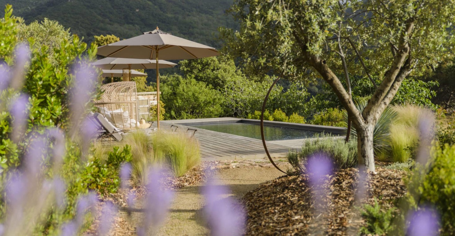 maison-d-hote-terre-de-maquis-corse